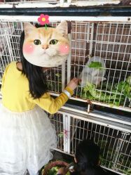 -小蜜蜂农场(凯德七宝购物广场店)