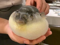 -肆月河豚·新淮扬(金融街店)