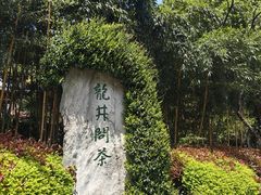 -阿巧茶庄
