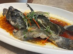 -沙田轩(古北店)