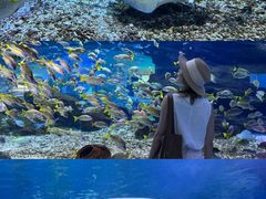 -海合安武汉极地海洋公园