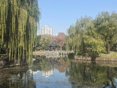 -和平公园