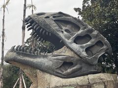 -自贡恐龙博物馆