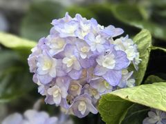 -苏州上方山国家森林公园