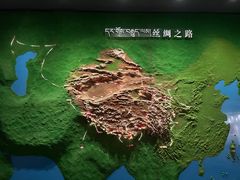 -青海藏文化博物院