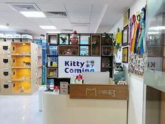 -小猫来了·猫舍(红山六九七九店)