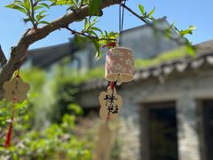 -田园东方蜜桃村的田野营地