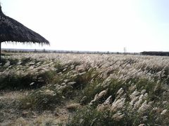 -黄沙古渡原生态旅游区