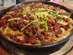 -老板恋上鱼(恒隆广场店)