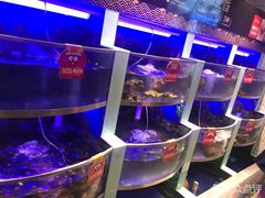 -七欣天香辣蟹火锅(南京建宁路大观天地店)