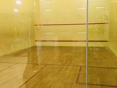 -健身专家Wellness Experts