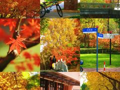 -上海交通大学(闵行校区)