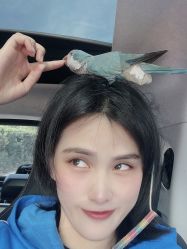 -菜百首饰(世纪金源购物中心店)