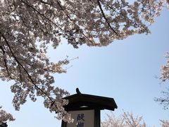 -醍醐寺