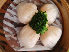 -璞正元酒楼·粤菜·早茶(大朗店)