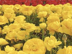 -上海市外滩历史纪念馆