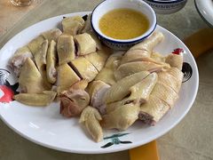 葱油鸡-区海鸡场饭店(石壁店)