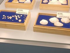 -天津古林古海岸遗迹博物馆