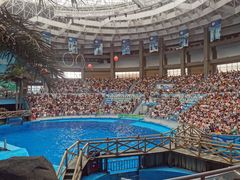 -海合安成都极地海洋公园