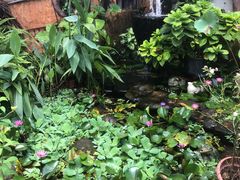 -园林美食城·本土农家菜(杨和镇店)