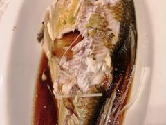 清蒸武昌鱼-亢龙太子酒轩(东湖店)