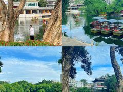 -荔湾湖公园