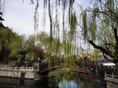 -环城公园
