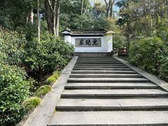 景点-虎跑公园