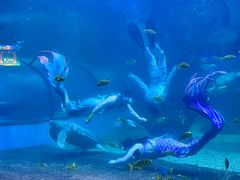 -左海海底世界