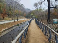 -白水寺森林公园