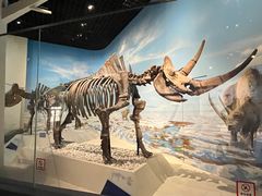 -国家自然博物馆