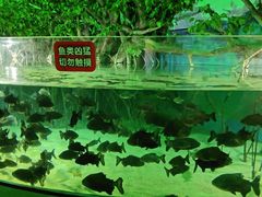-福州罗源湾海洋世界旅游区