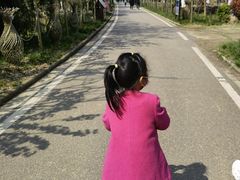 -武汉紫薇都市田园