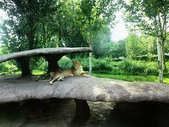 -北京野生动物园