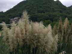 -贵阳市花溪国家城市湿地公园