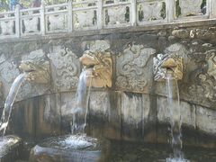 -蝴蝶泉公园