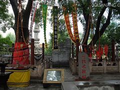 -大槐树寻根祭祖园