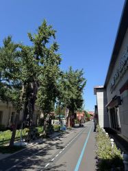 点击看大图 -爱儿美儿童摄影亲子馆(五路居店)