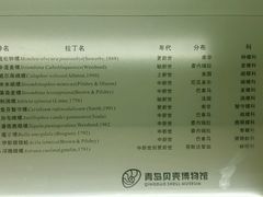 -青岛贝壳博物馆