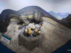 -国家自然博物馆