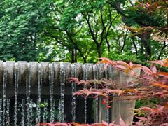 -苏州河梦清园环保主题公园