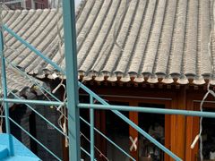 -BE YOLO必有乐&小红帽三明治