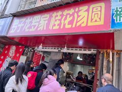 -罗子龙罗家桂花汤圆(曹都巷店)