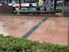 -星巴克(美丽华花园店)