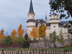 -北京张裕爱斐堡酒庄