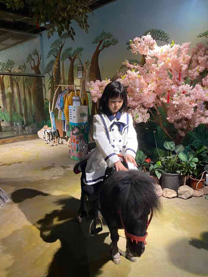 hi zoo万象萌宠公园-"交通:公交地铁地点:哈西金爵万象 推.