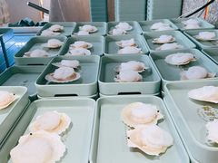-蚝英雄·自助烤蚝(建设路店)