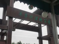 -羊亭河湿地公园