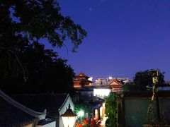 -Sirena海妖日咖夜酒