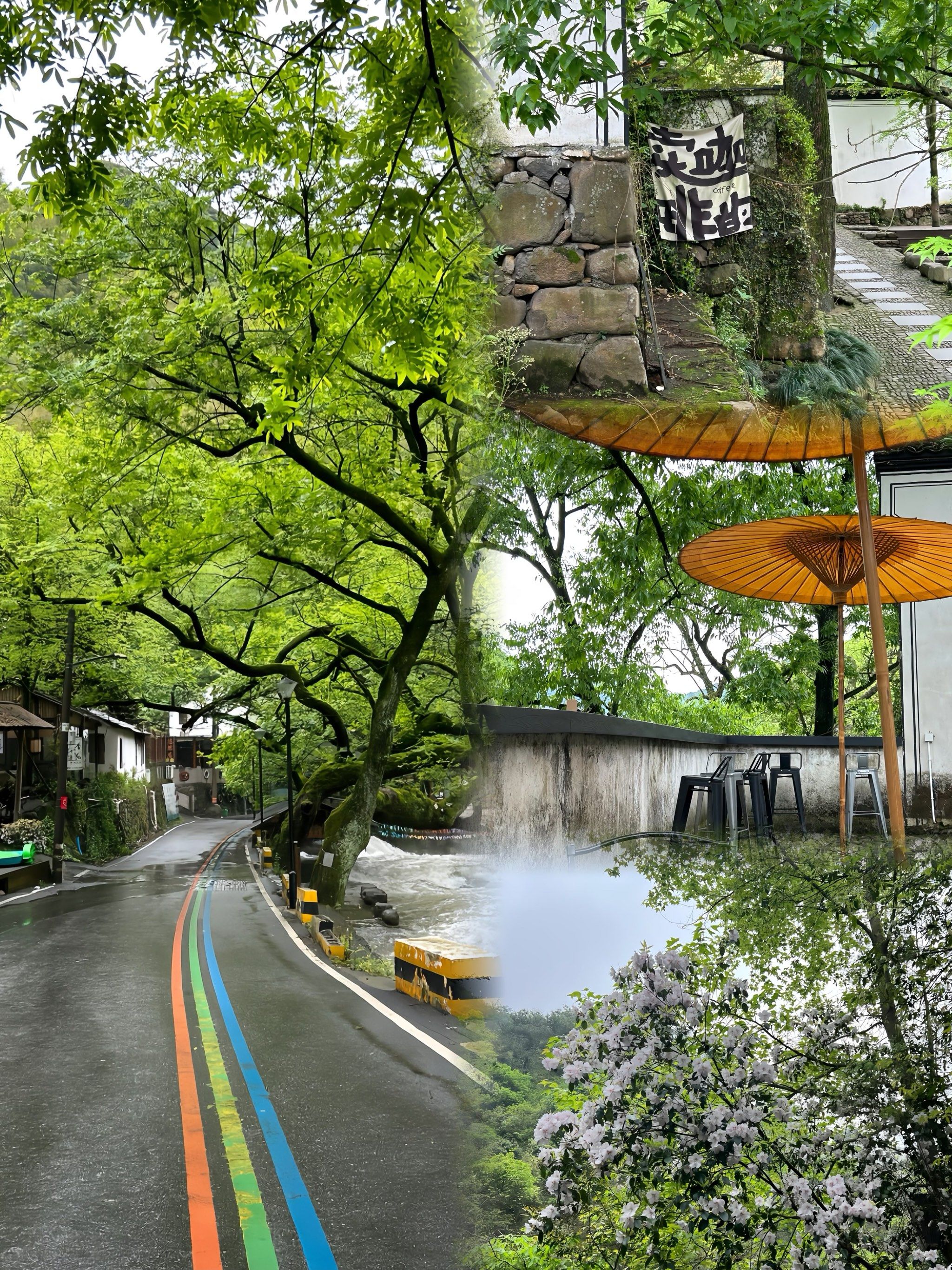 杭州市的桐庐县就有一处集江南山水与草原风光于一体的综合性森林公园